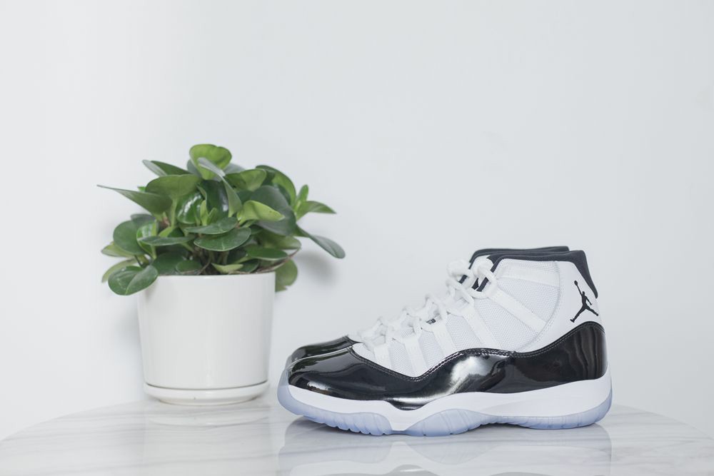 Air Jordan11 45back
