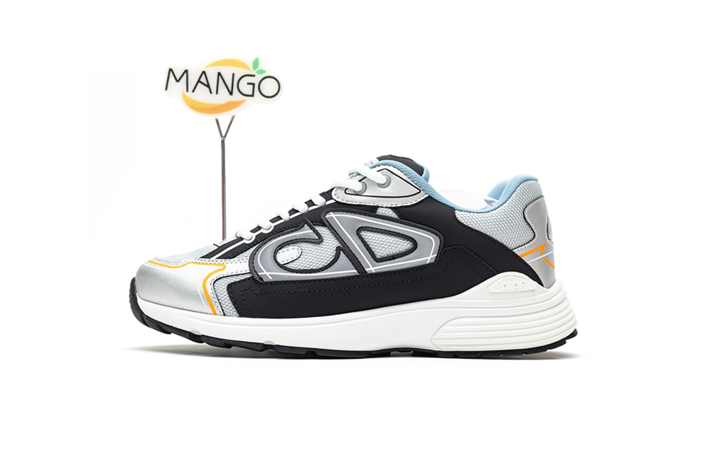 Dior B30 Grey Silver